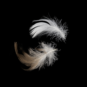 Olszewski ขนเป็ดสีเทาโปแลนด์ & ขนเป็ด (22% ในเป็ด100%) คุณภาพสูง downpass idfb Rds ได้รับการรับรองโปแลนด์ - Product Image 2