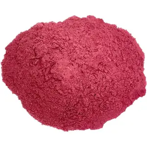 质量有保证的红甜菜根粉草药提取物有机甜菜根粉从印度制造商购买
