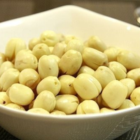 Dont la vente Lutus Seeds à des prix incroyables sur nos meilleures graines, obtenez les vôtres avant qu'elles ne se vendent
