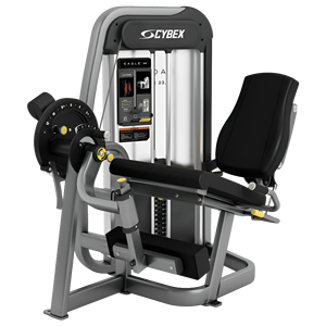 Máquina de Extensión de Piernas Ajustable Remanufacturada (Metal) para Entrenamiento de Cuádriceps, Uso en Casa y Gimnasio - Product Image 3