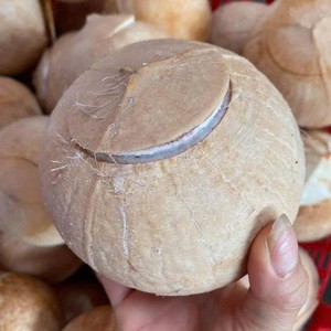 มะพร้าวขัดมันเปิดง่าย - Product Image 5