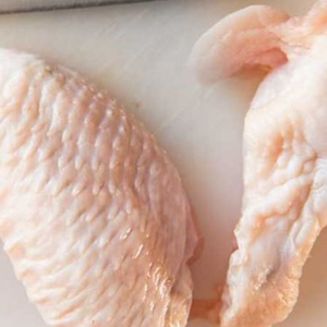 Buen Precio de alitas de pollo congeladas a la venta, Comprar alitas de pollo congeladas, alas de pollo congeladas al por mayor - Product Image 5