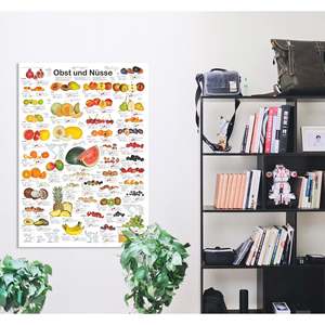 German DIN A1 Fruit and Nuts <b>Poster</b> Design - Product Image 4