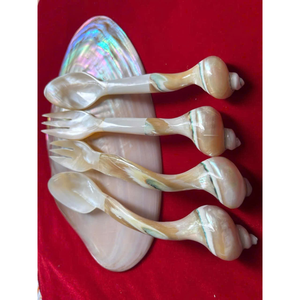 Cuchara artesanal de nácar: lujo, alta calidad, venta al por mayor, reutilizable, ecológico Seashell & Conch Venta caliente 2025 - Product Image 5