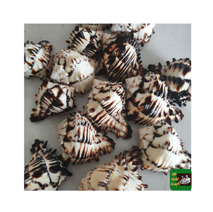 Coquillages cauri coquillages naturels Leporicypraea Mappa de haute qualité et meilleur vendeur prix compétitif du Vietnam - Product Image 3