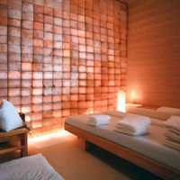 Briques de sel rose de l'Himalaya en gros – Meilleure qualité, résistance naturelle aux acides, design moderne, décoration intérieure, briques solides