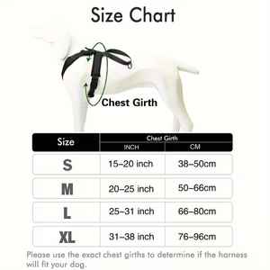 Oem Custom High quality <b>Dog</b> And Cat <b>Collars</b> Belt - Product Image 5