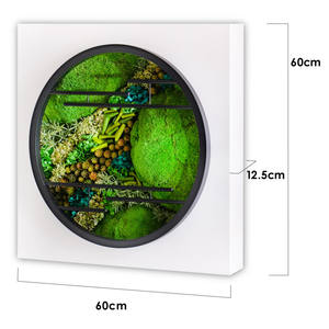 Arte de pared moderno de lujo, flores y plantas preservadas con marco grande para decoración del hogar, diseños de restaurante y sala de estar - Product Image 4