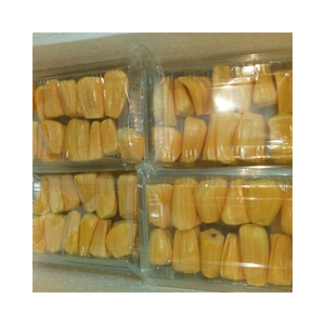 Jacquier congelé du Vietnam de qualité supérieure prêt pour l'approvisionnement en gros aux distributeurs alimentaires mondiaux - Product Image 2