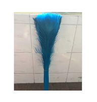 Bouquet de Plumes de Paon Vertes Naturelles (Brutes/Teintes) avec Emballage Boîte pour Mariage, Fête, Costume et Décoration Intérieure