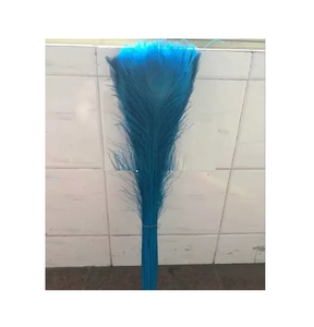 Bouquet de Plumes de Paon Réelles (Motif Brut) pour Mariage, Fête, Costume et Décoration Intérieure - Product Image 1