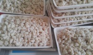 CANGREJO EN CONSERVAS PREMIUM/SIN ADITIVOS/LISTO PARA COMER/COSECHADO EN OCÉANO - Product Image 2