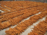NOUVELLE SAISON QUANTITE EN VRAC MEILLEURE QUALITE CIGARETTE CASSIA CANNELLE BÂTON CANNELLE 100% ORIGINE VIETNAM - ANNA DO