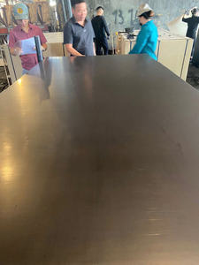 FOMEX Greenwood Coffrage Moderne de Première Classe 12-18mm Eucalyptus Acacia Double Face Brun/Noir Filmé Utilisation Extérieure - Product Image 3