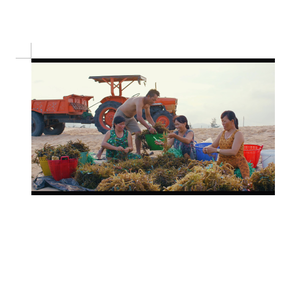 มอสทะเลสีทองทำเจล - Product Image 1