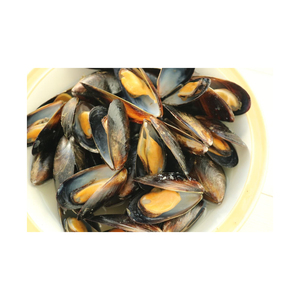 Mejillones Congelados Embalados Marisco Entero Cocido Refrigerado Exportación a Granel Proveedor Mariscos Cultivados Limpio Premium Calidad Fresca Grado - Product Image 2