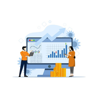 Software financiero inteligente para negocios y éxito financiero a la venta