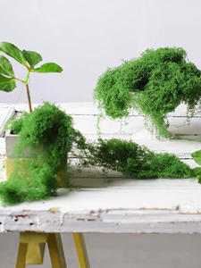 Envío Rápido desde Almacén en EE. UU., Flores Artificiales de Plástico Ecológicas y Ligeras, 30g (1.05oz) /150g (5.3oz), Soporte para Plantas - Product Image 4