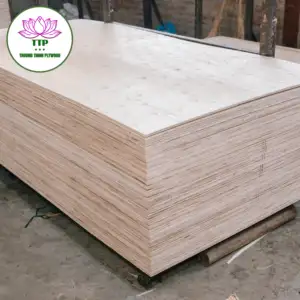 HardwoodConstruction & Real Estate Acacia Eucalyptus Core kualitas tinggi ukuran 4*8/3*6 kemasan kayu lapis buatan hitung Nam 27