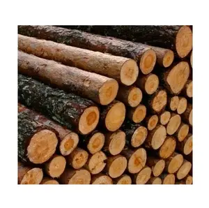 Bester Preis 100% rohes Kiefernholz Protokolle/Holz zum besten Preis und hohe Qualität zum Verkauf