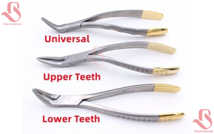 BISONS Vente en gros de forceps manuels pour l'extraction des fragments dentaires, pinces chirurgicales à intervention minimale en acier inoxydable - Product Image 4