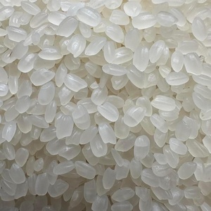 Top # 1 Arroz Blanco Japonica Orgánico de Textura Dura, de Cosecha Corta, Seco, de Vietnam, para Cocinar, Vilaconic JP01, Cosecha 2024, 14% de Humedad Máxima - Product Image 5