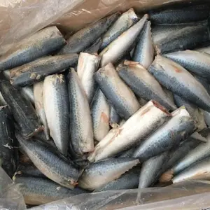 Hete Verkoop Goede Smaak Fabriek Groothandel Bevroren Sardine Vis