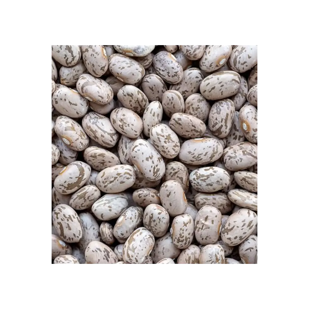 Long Shape Pinto Beans--2023 New Harvest
