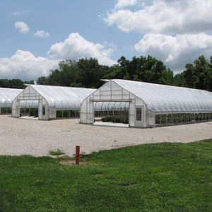 إطار فولاذ مجلفن فولاذية لفصل فردي PE غشاء زجاجي للزراعة منخفضة التكلفة نفق زجاجي لنباتات الزهور - Product Image 3