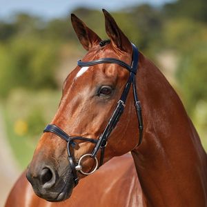 ROSE GOLD Bridle FREEWAY Anatómico Poll Stellar Crystal Piping BLING Patente - Product Image 4