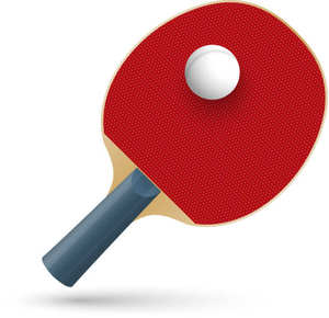Fabricant de raquettes de ping-pong personnalisables de haute qualité Battes de tennis de table de qualité supérieure en caoutchouc durable Meilleurs tarifs - Product Image 6