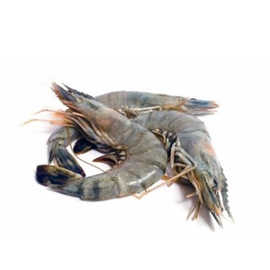 Mejor Precio en Camarones Congelados IQF, Proveedor Global de Mariscos - Product Image 1