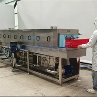 Laveuse automatique de caisses en plastique, de plateaux, de cages, de paniers, de caisses pour le traitement de la viande