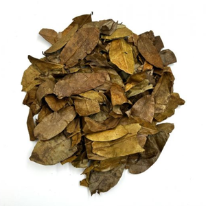 POLVO DE HOJA DE GRAVIOLA SECA-ALTA CALIDAD-SUMINISTRO DE EXPORTACIÓN DE VIETNAM - Product Image 4