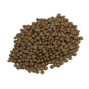 Suministro directo de fábrica Lentejas secas orgánicas de calidad superior Stock fresco al por mayor a granel al mejor precio para exportadores - Product Image 6