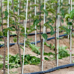 Tige en fibre de verre Tige en fibre de verre pour <span class=keywords><strong>piquet</strong></span> de neige/<span class=keywords><strong>support</strong></span> de plante/bâton de drapeau/pêche - Product Image 2