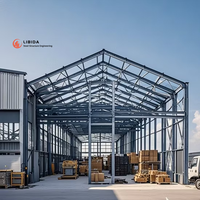 Atelier préfabriqué en acier à économie d'énergie, entrepôt spacieux, chambre froide fiable, structure en acier, marque LIBIDA, garantie 1 an