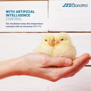 Borotto trứng lồng ấp thực 24 bán tự động Sản xuất tại Ý 24 trứng dài bảo hành lồng ấp cho gia cầm - Product Image 6