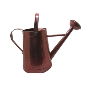 Arrosoir de conceptions de fantaisie avec la finition enduite de poudre verte Arrosoir de fer en métal de capacité de 3 litres pour la plante de jardin à la maison - Product Image 5