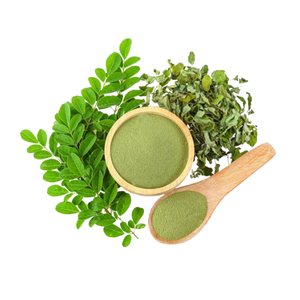 Oferta al por Mayor de Polvo de Moringa de Grado Comercial - Product Image 1