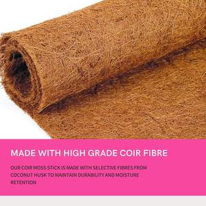 Totem de bâton de mousse de poteau artisanal de 8 à 16 pouces unique du fabricant indien Grands jardinières d'intérieur Pots de fleurs Coco Gardens - Product Image 6