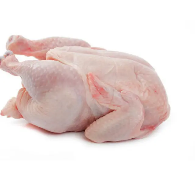 Poulet entier glacé de haute qualité, pattes de poulet et ailes de poulet à vendre