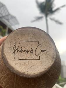 Tazas de coco de alta calidad al por mayor para bebidas para el hogar, escuela, oficina, cafetería, restaurante,... Pedidos a granel - Product Image 2