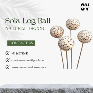 ลูกบอลโซโล่ล็อกสำหรับงานแต่งงานงานอีเวนต์สำนักงานและการจัดดอกไม้แห้ง - Product Image 5