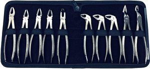 Fórceps de Cuerno de Vaca de Alta Calidad para Extracción Dental de Molares Inferiores por ARMANDIOUS - Product Image 2