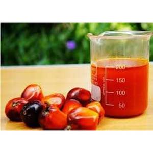 100% Pure and Natural Cosmetic Grade and Premium Grade Best Quality Palm Kernel <b>Carrier</b> <b>Oil</b> Available for Aromatherapy Use India - Product Image 2