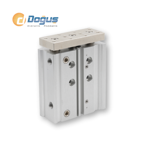 Cilindro Magnético de Doble Rodamiento Serie PGB 50 con Accionamiento Neumático - Product Image 2