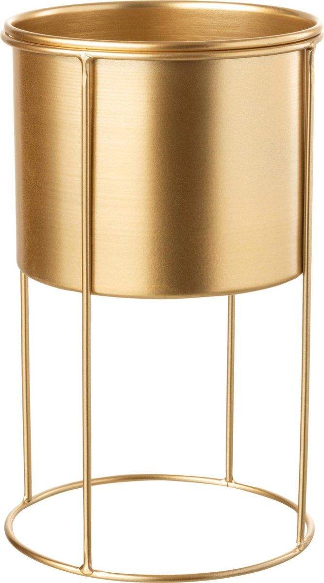 ตามที่แสดง