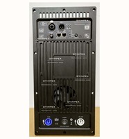 Module amplificateur de puissance pour processeur audio professionnel, classe D, filtre FIR, carte DSP, amplificateur pour enceinte active Line Array