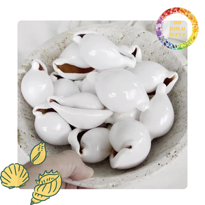 เปลือกไข่วัวจากเวียดนาม | การทำเครื่องประดับแบบ DIY และของตกแต่งบ้าน | มีสินค้าในสต๊อก - Product Image 1